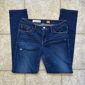 Anthropologie Blue Skinny Jeans Classic Style